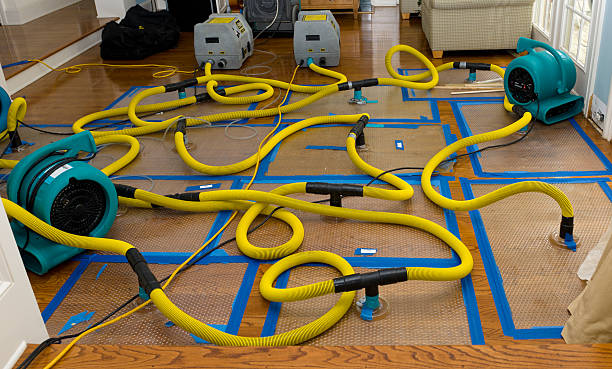 Professional Water Damage Repair technician working in Weston, MI
